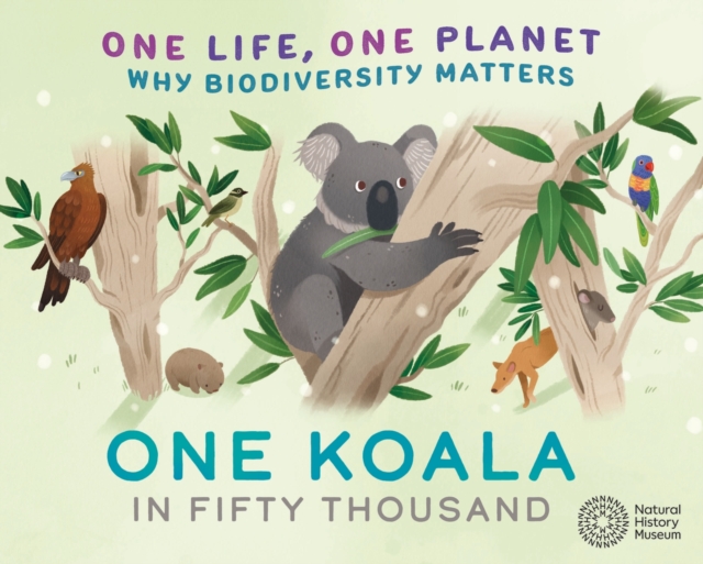 One Life, One Planet: One Koala in Fifty Thousand: Why Biodiversity Matters 72 9781526322937.jpg
