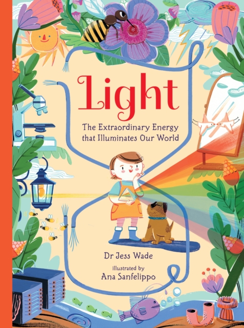 Light: The Extraordinary Energy That Illuminates Our World 16 9781529506020.jpg