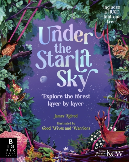 Under the Starlit Sky: Explore the Forest Layer By Layer 1 Under the Starlit Sky: Explore the Forest Layer By Layer