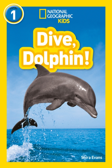 Dive, Dolphin!: Level 1 (National Geographic Readers) — book cover