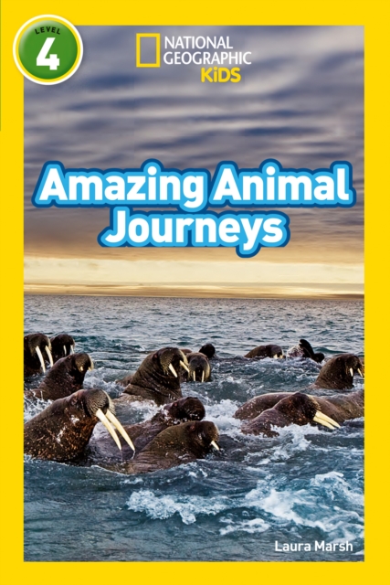 Amazing Animal Journeys: Level 4 (National Geographic Readers) — book cover