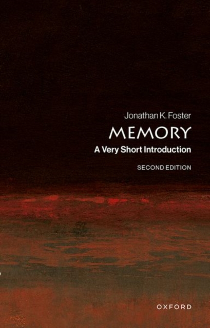 VSI: Memory 1 VSI: Memory