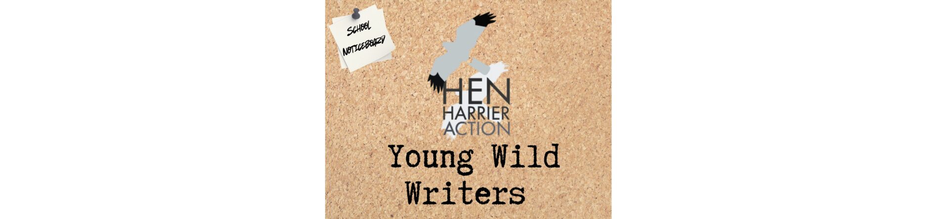 Hen Harrier feature