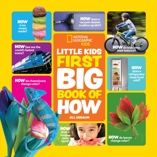 Little Kids First Big Book of How — book cover