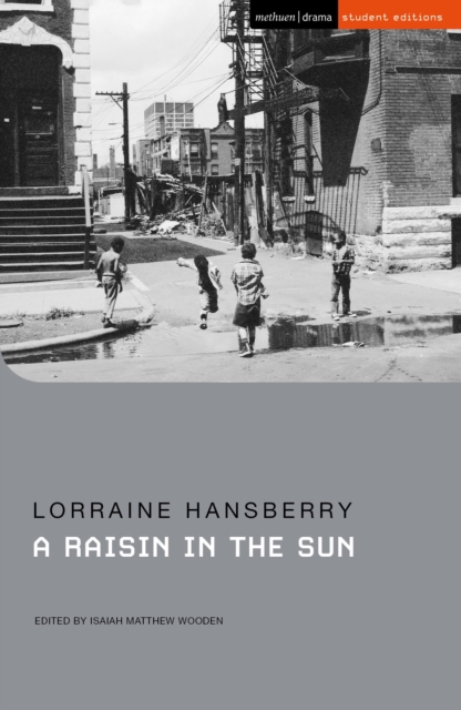 A Raisin in the Sun — book cover