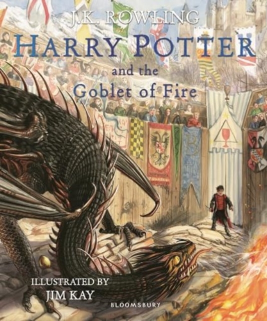 Harry Potter and the Goblet of Fire: Illustrated Edition — book cover